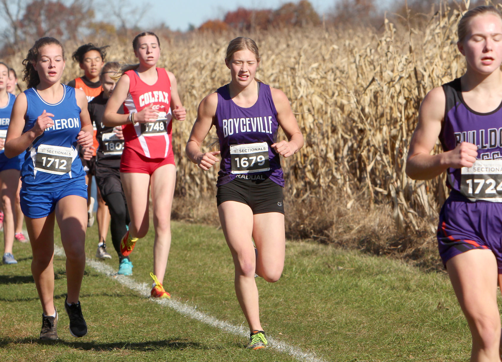 Division 3 Cross Country Sectionals in Boyceville 10-26-19